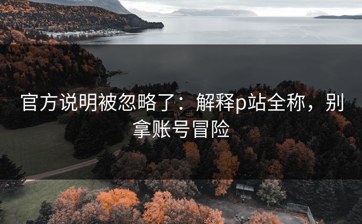 官方说明被忽略了:解释p站全称,别拿账号冒险 官方说明被忽略了:解释p站全称,别拿账号冒险